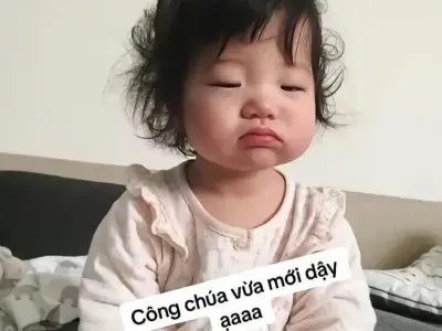 Khám phá các hành động liên quan đến meme phổ biến hiện nay