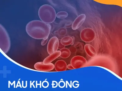 Nhận biết qua hình ảnh bệnh máu khó đông trên cơ thể