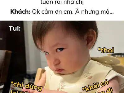 Insight hay qua meme dân Marketing Quảng cáo siêu thực tế