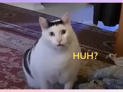 Meme hoang mang thể hiện rõ nét cảm xúc khó hiểu nhất