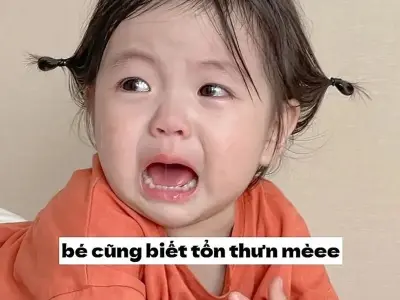 Tổng hợp meme template chung hot nhất mạng xã hội