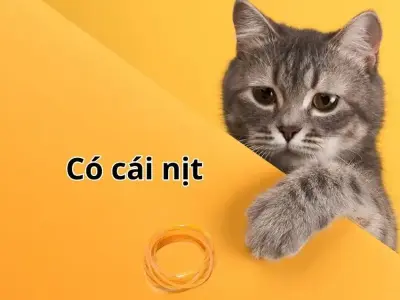 Tại sao meme còn cái nịt lại gây sốt trên mạng xã hội?