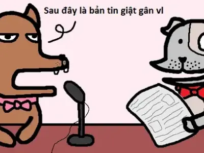 Bộ sưu tập meme theo cộng đồng, group viral nhất hiện nay