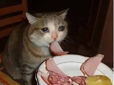 Meme về gia đình thể hiện tình cảm thân thương nhất