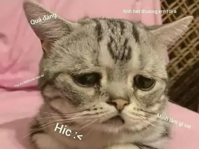 Khi meme về sức khỏe tâm thần trở thành liều thuốc tinh thần