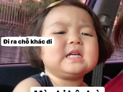 Khám phá meme tìm kiếm theo định dạng giúp bạn giải trí