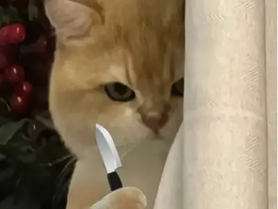 Ảnh meme cầm dao hài hước khiến bạn cười không ngừng