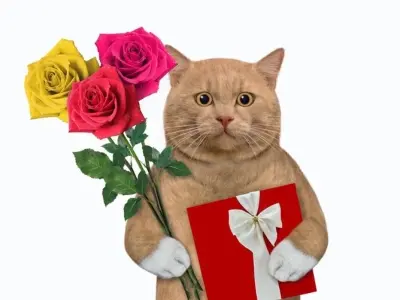 Ảnh meme mèo tặng hoa vui nhộn thu hút mọi ánh nhìn