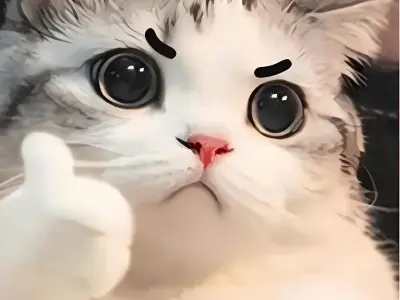 Xem ngay ảnh mèo vô tri meme cực dễ thương và hài hước