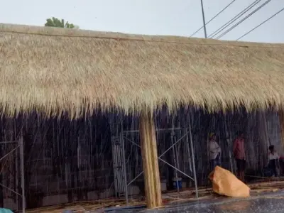 Nhà mái lá Đồng Tháp – Nét đẹp quê hương thanh bình