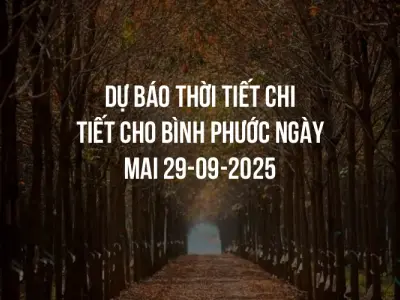 Dự báo thời tiết chi tiết cho Bình Phước ngày mai 29-09-2025