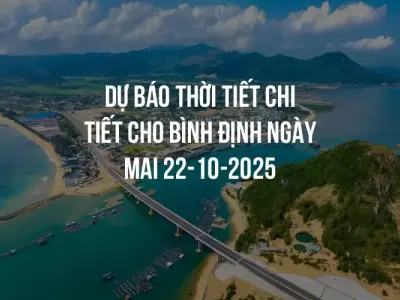 Dự báo thời tiết chi tiết cho Bình Định ngày mai 22-10-2025