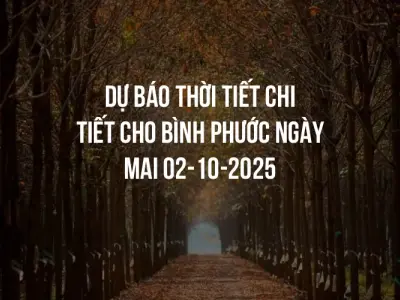 Dự báo thời tiết chi tiết cho Bình Phước ngày mai 02-10-2025