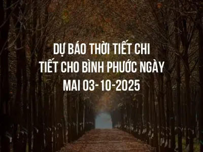 Dự báo thời tiết chi tiết cho Bình Phước ngày mai 03-10-2025