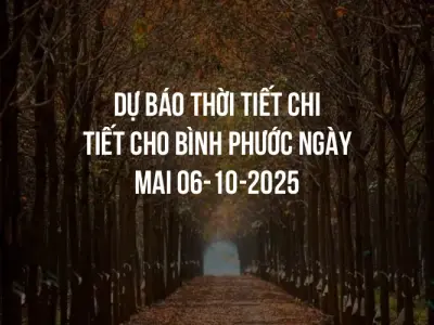 Dự báo thời tiết chi tiết cho Bình Phước ngày mai 06-10-2025
