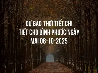 Dự báo thời tiết chi tiết cho Bình Phước ngày mai 08-10-2025