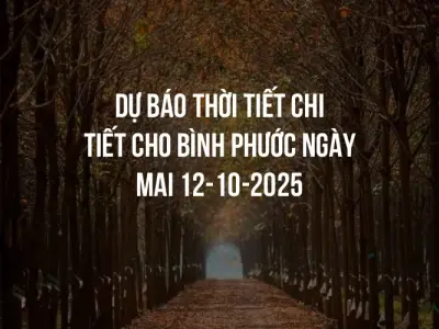 Dự báo thời tiết chi tiết cho Bình Phước ngày mai 12-10-2025