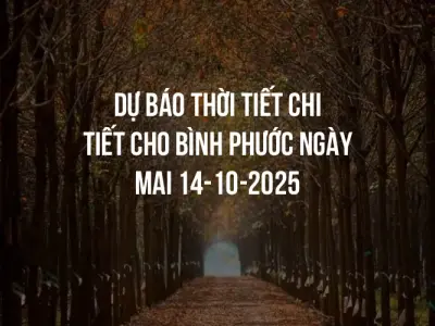 Dự báo thời tiết chi tiết cho Bình Phước ngày mai 14-10-2025