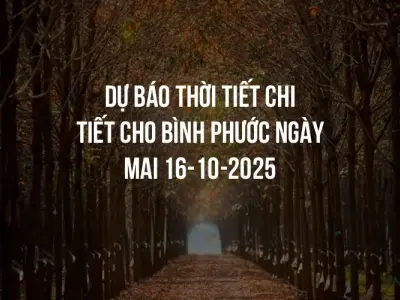 Dự báo thời tiết chi tiết cho Bình Phước ngày mai 16-10-2025