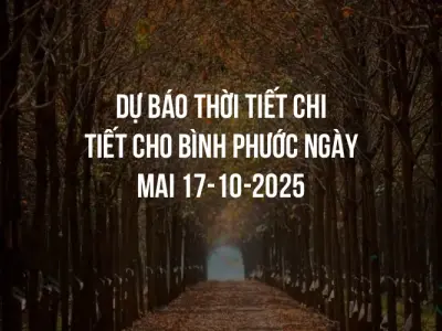 Dự báo thời tiết chi tiết cho Bình Phước ngày mai 17-10-2025