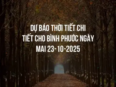 Dự báo thời tiết chi tiết cho Bình Phước ngày mai 23-10-2025