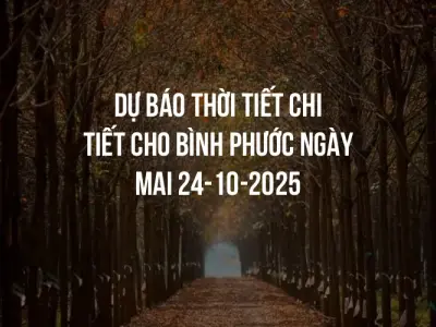 Dự báo thời tiết chi tiết cho Bình Phước ngày mai 24-10-2025