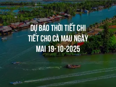 Dự báo thời tiết chi tiết cho Cà Mau ngày mai 19-10-2025