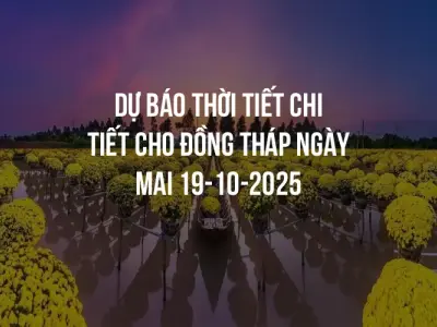 Dự báo thời tiết chi tiết cho Đồng Tháp ngày mai 19-10-2025