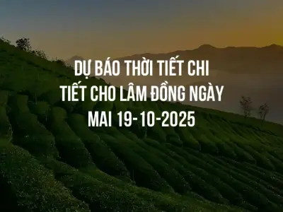 Dự báo thời tiết chi tiết cho Lâm Đồng ngày mai 19-10-2025