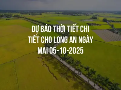 Dự báo thời tiết chi tiết cho Long An ngày mai 05-10-2025