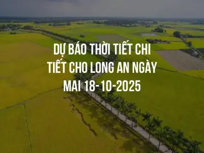 Dự báo thời tiết chi tiết cho Long An ngày mai 18-10-2025