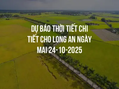 Dự báo thời tiết chi tiết cho Long An ngày mai 24-10-2025