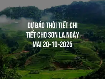 Dự báo thời tiết chi tiết cho Sơn La ngày mai 20-10-2025