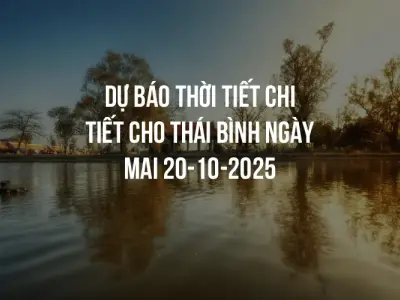 Dự báo thời tiết chi tiết cho Thái Bình ngày mai 20-10-2025