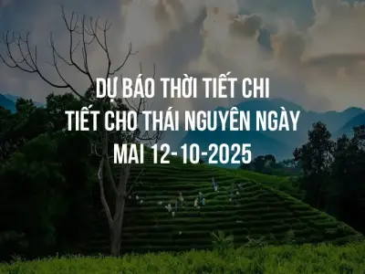 Dự báo thời tiết chi tiết cho Thái Nguyên ngày mai 12-10-2025