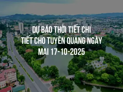Dự báo thời tiết chi tiết cho Tuyên Quang ngày mai 17-10-2025