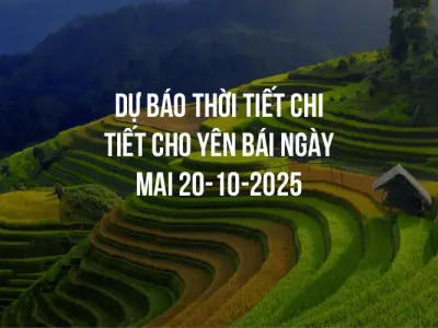 Dự báo thời tiết chi tiết cho Yên Bái ngày mai 20-10-2025