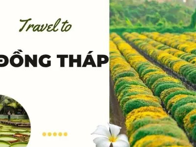 Cẩm nang du lịch Đồng Tháp: Khí hậu, Mùa đẹp & Lời khuyên