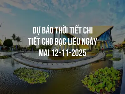 Dự báo thời tiết chi tiết cho Bạc Liêu ngày mai 12-11-2025