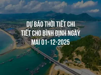 Dự báo thời tiết chi tiết cho Bình Định ngày mai 01-12-2025