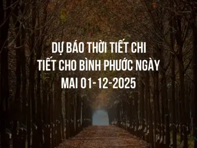 Dự báo thời tiết chi tiết cho Bình Phước ngày mai 01-12-2025