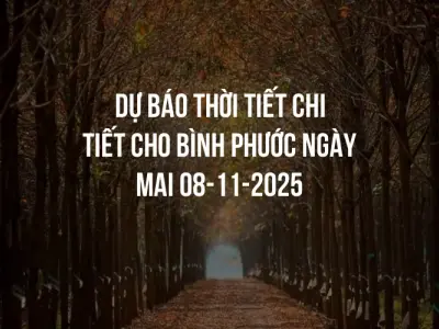 Dự báo thời tiết chi tiết cho Bình Phước ngày mai 08-11-2025