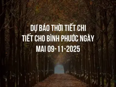 Dự báo thời tiết chi tiết cho Bình Phước ngày mai 09-11-2025