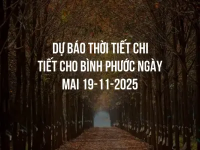 Dự báo thời tiết chi tiết cho Bình Phước ngày mai 19-11-2025