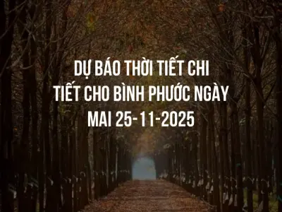 Dự báo thời tiết chi tiết cho Bình Phước ngày mai 25-11-2025