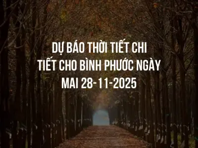 Dự báo thời tiết chi tiết cho Bình Phước ngày mai 28-11-2025
