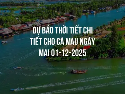 Dự báo thời tiết chi tiết cho Cà Mau ngày mai 01-12-2025