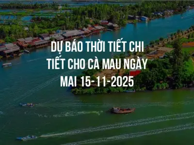 Dự báo thời tiết chi tiết cho Cà Mau ngày mai 15-11-2025