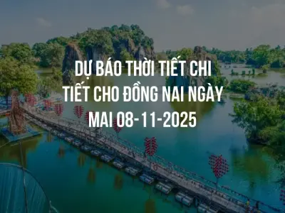 Dự báo thời tiết chi tiết cho Đồng Nai ngày mai 08-11-2025