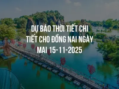 Dự báo thời tiết chi tiết cho Đồng Nai ngày mai 15-11-2025